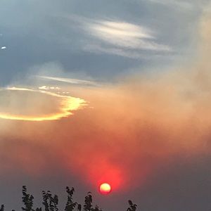 Meet your Posher, Gabriel